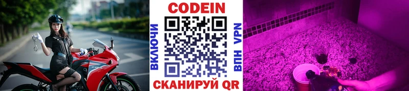 купить наркоту  Прохладный  Кодеин Purple Drank 