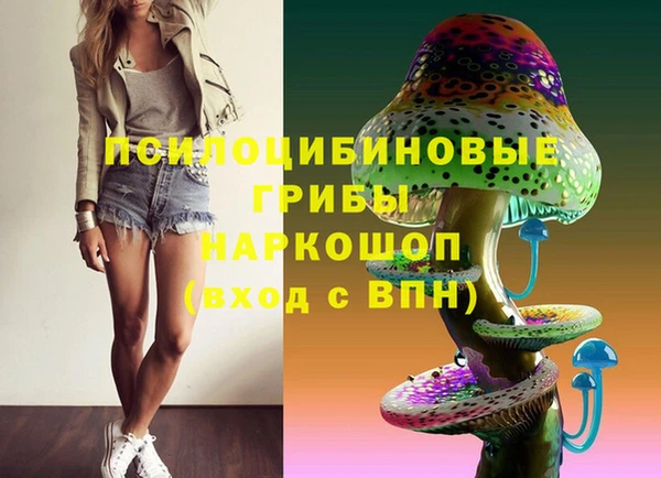 бошки Новодвинск