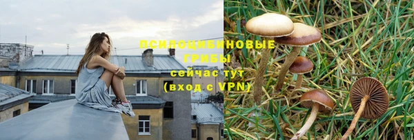 дживик Новозыбков